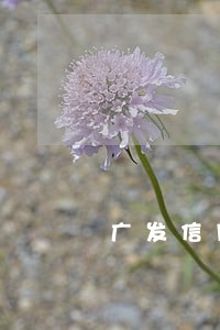 广发信用卡还款逾期 征信吗 广发信用卡还款逾期 征信吗